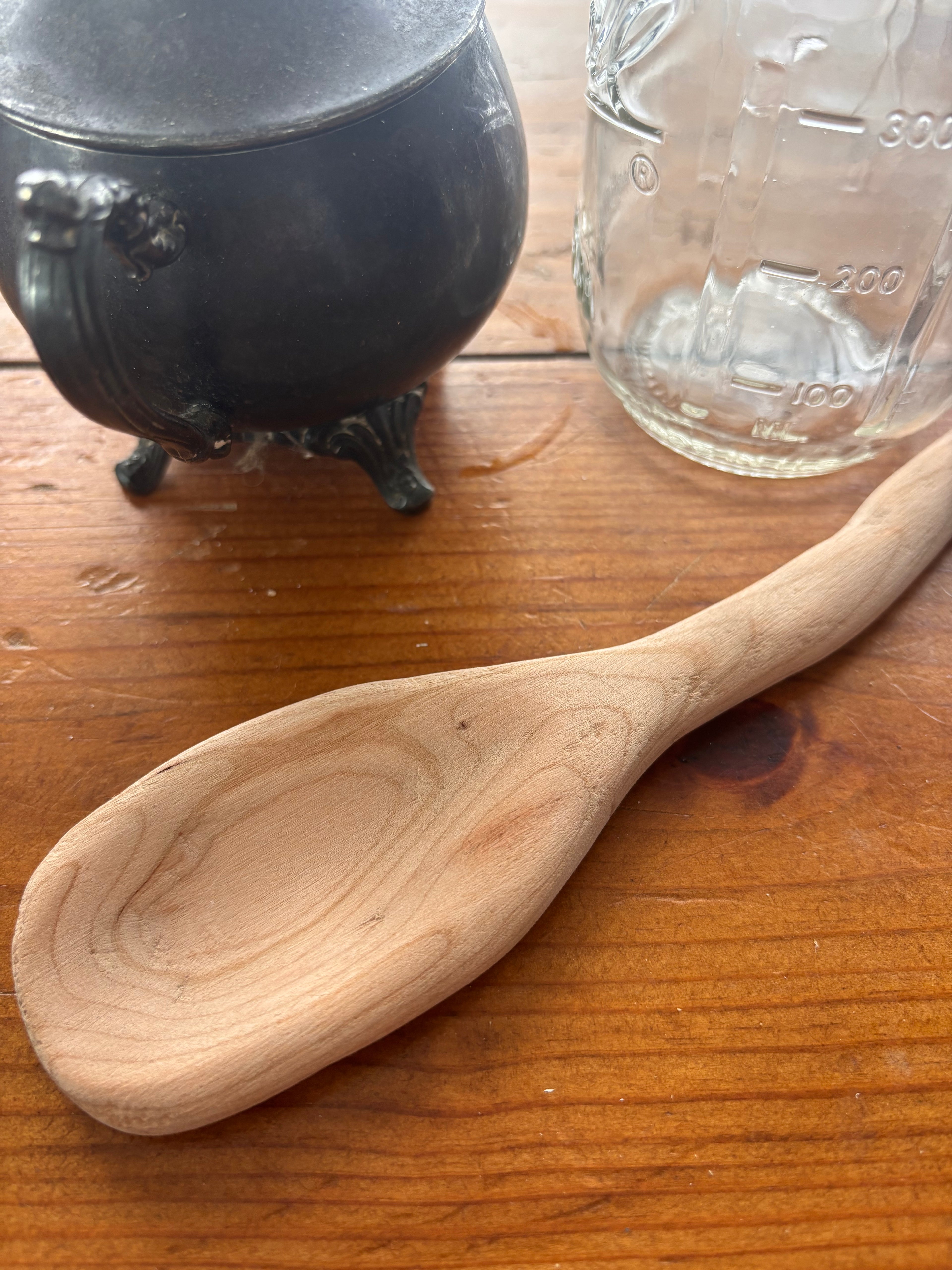 Large Whimsy Spoon